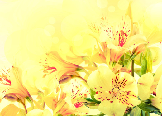 784655 (a): :2400x1715